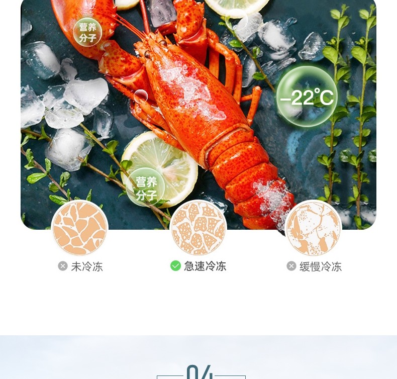 食品機(jī)械 食品機(jī)械